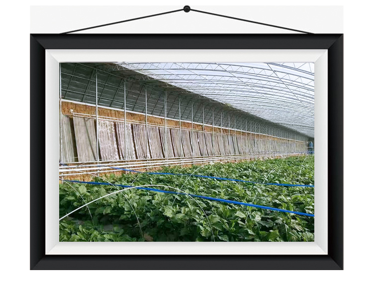 太阳能热水工程-太阳能大棚项目