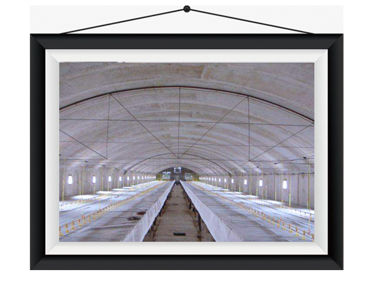 太阳能热水工程-太阳能恒温养殖